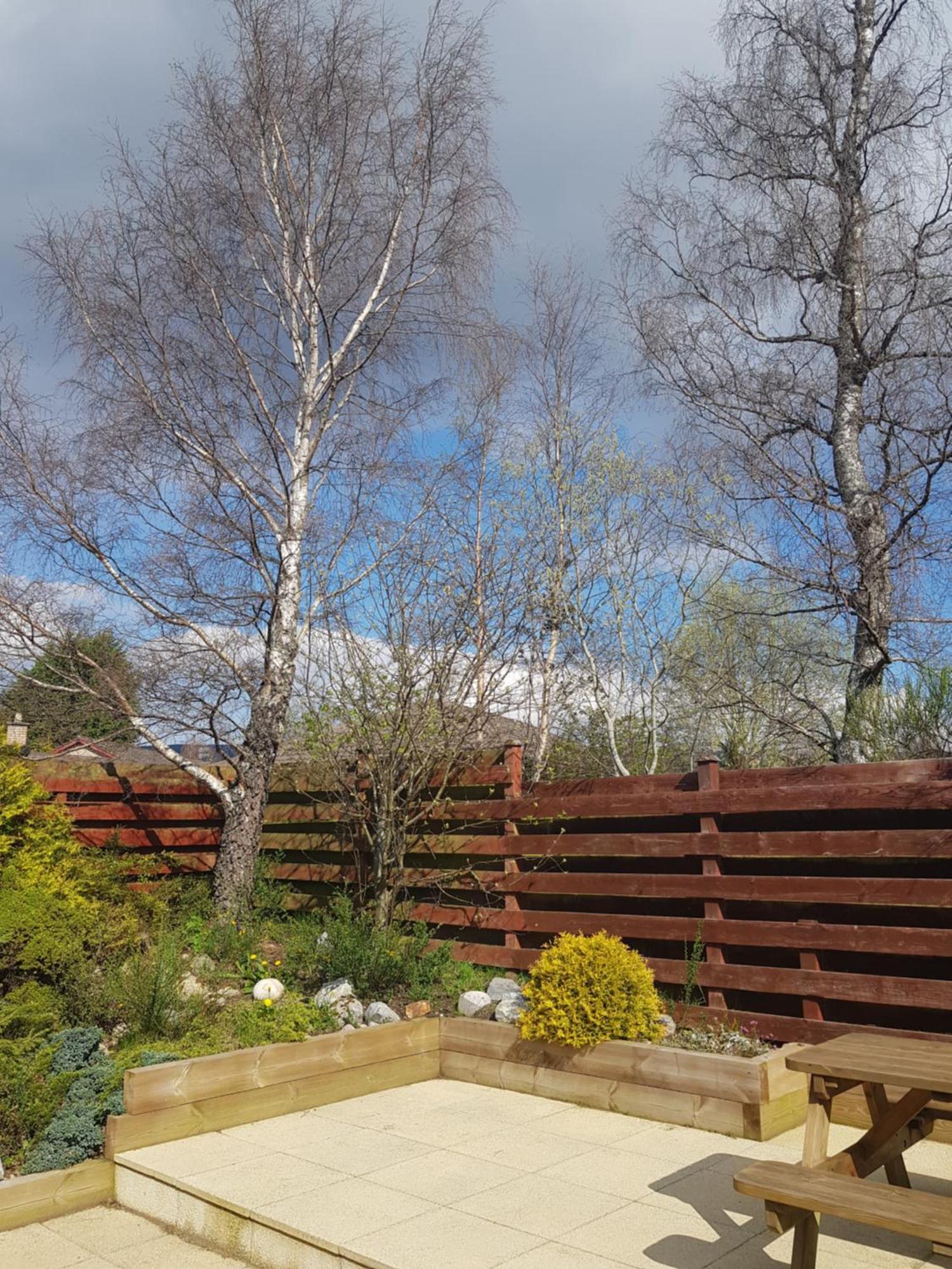 Orange Squirrel Lodge Aviemore Buitenkant foto